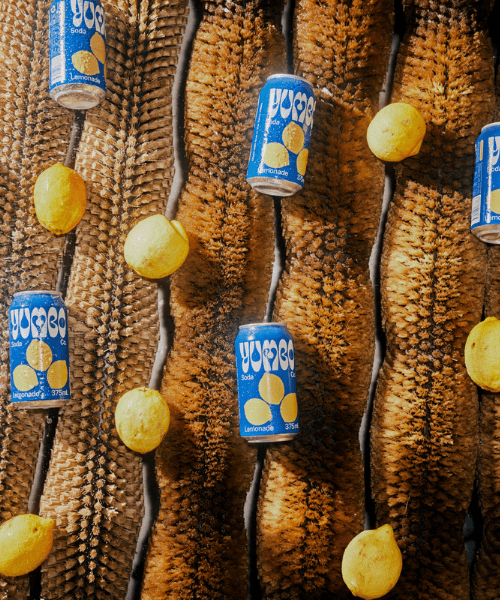 Heaps Normal Review of Yumbo Lemonade