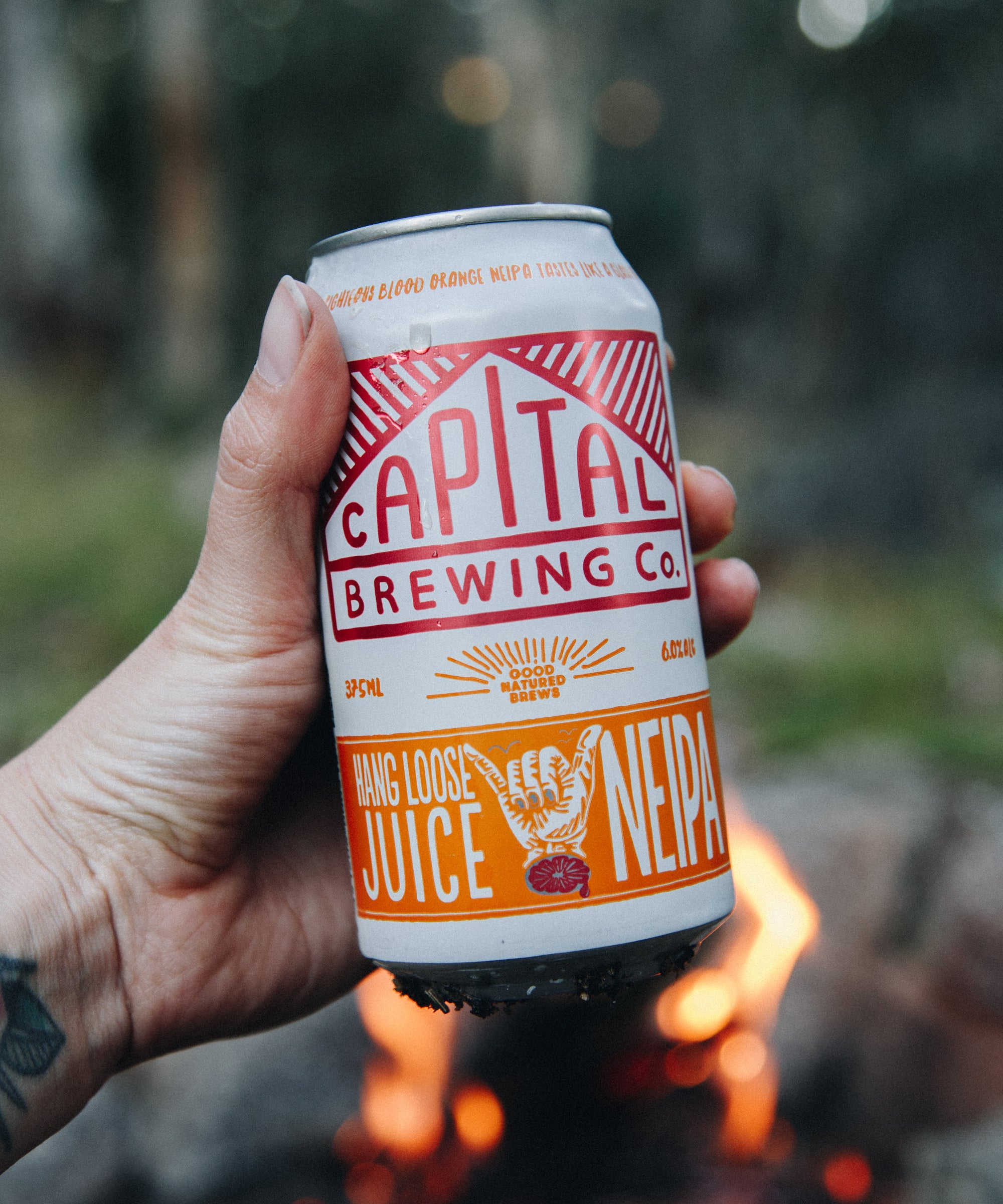 Heaps Normal Capital Review NEIPA